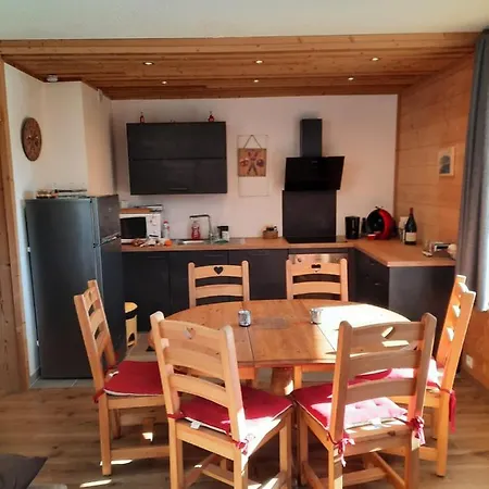 公寓 Les Terrasses Du Mont Blanc 普拉茲德里斯