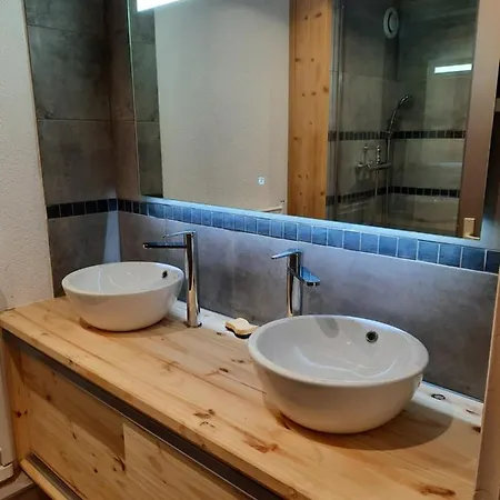 公寓 Les Terrasses Du Mont Blanc 普拉茲德里斯